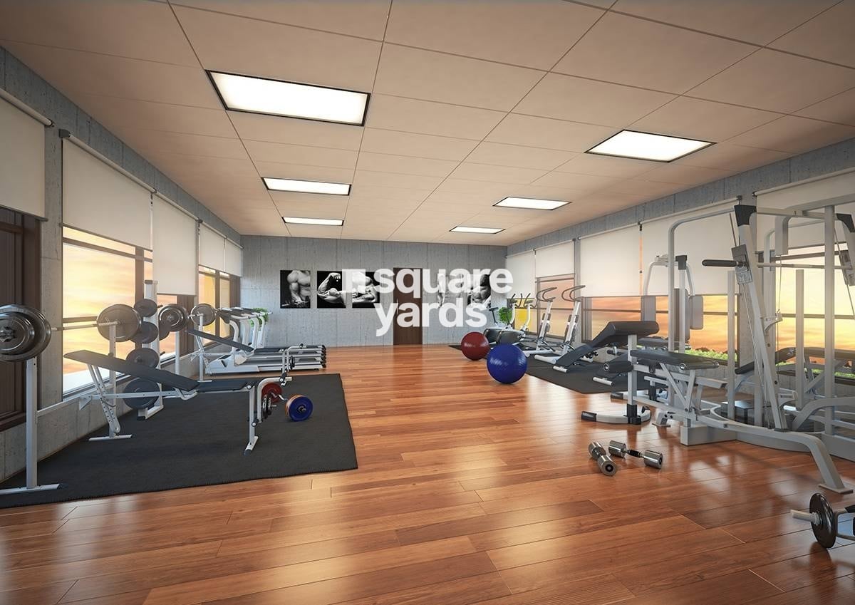 Sky City Floris Gymnasium Image