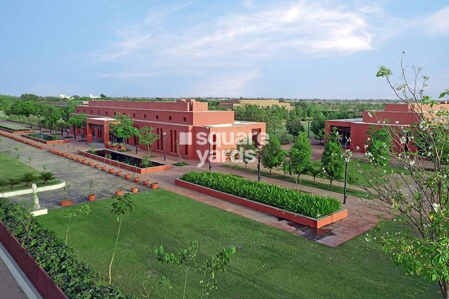 Synthesis Suramya Abode