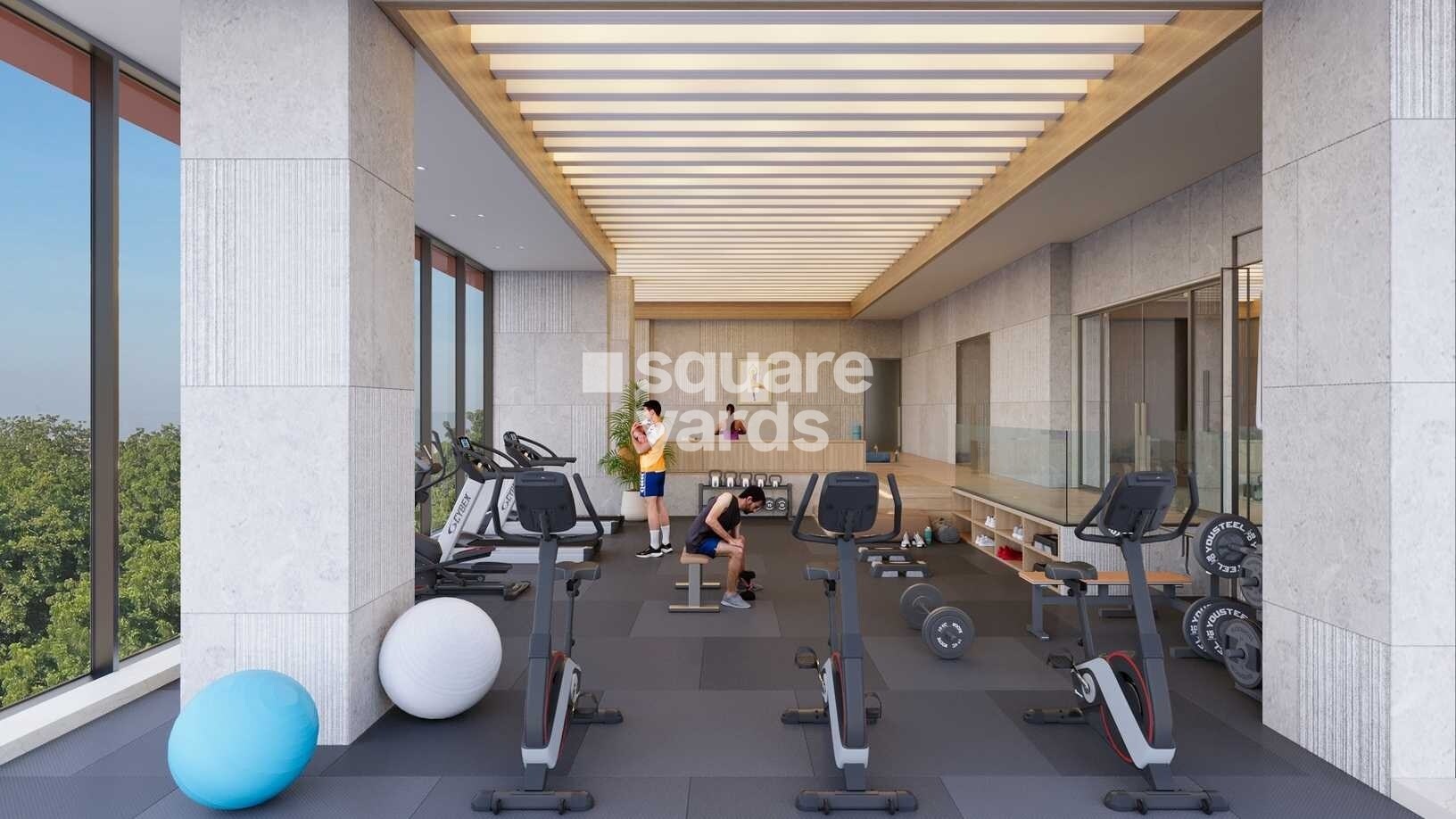 Z Luxuria Gymnasium Image