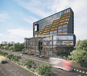 Avirat Silver Radiance 4