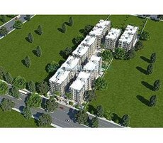 Bapashree Sarvopari Flora Featured Image