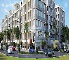 Deep Indraprasth 9 Hibiscus Featured Image