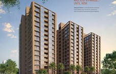 Deep Indraprasth Gulmohar Featured Image