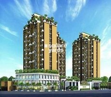 Flora Ixora Featured Image