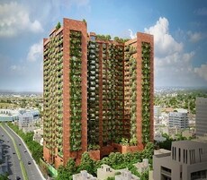 Gala Ikebana Featured Image