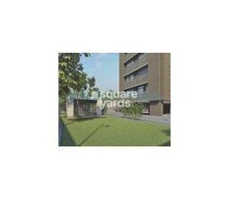 Goyal and Co Riviera Exotica