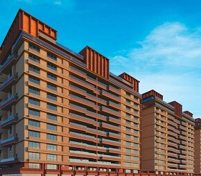 Kavisha The Portrait