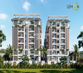 Krunal Lemon Tree