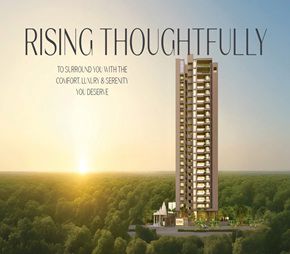 NB Palm Featured Image