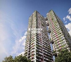 Nila Vida Featured Image