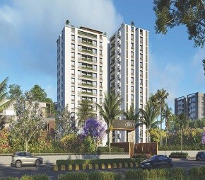 Satved White Crest
