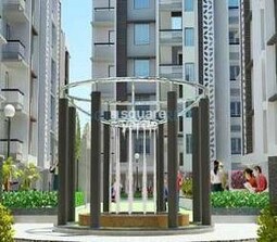 Savaliya Krish Exotica