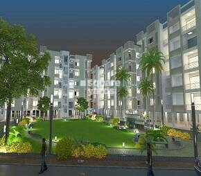 Savaliya Krish Gold