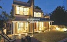 Savvy Saarus Enclave Featured Image