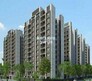 Savvy Swaraaj Sports Living Flagship Image