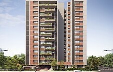 Shafalya Aurum Legacy Featured Image