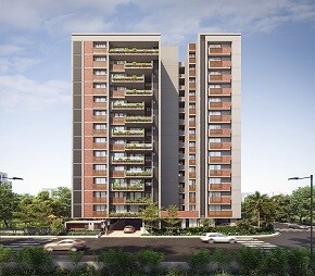 Shafalya Aurum Legacy