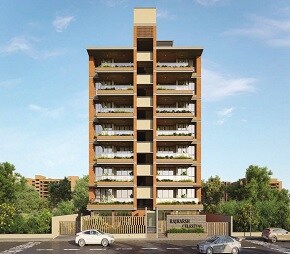 Solace Rajharsh Celestial
