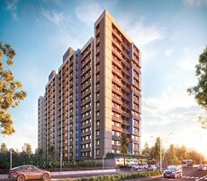 Tri The Evans Featured Image