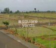 Nature Yadadri Ambience