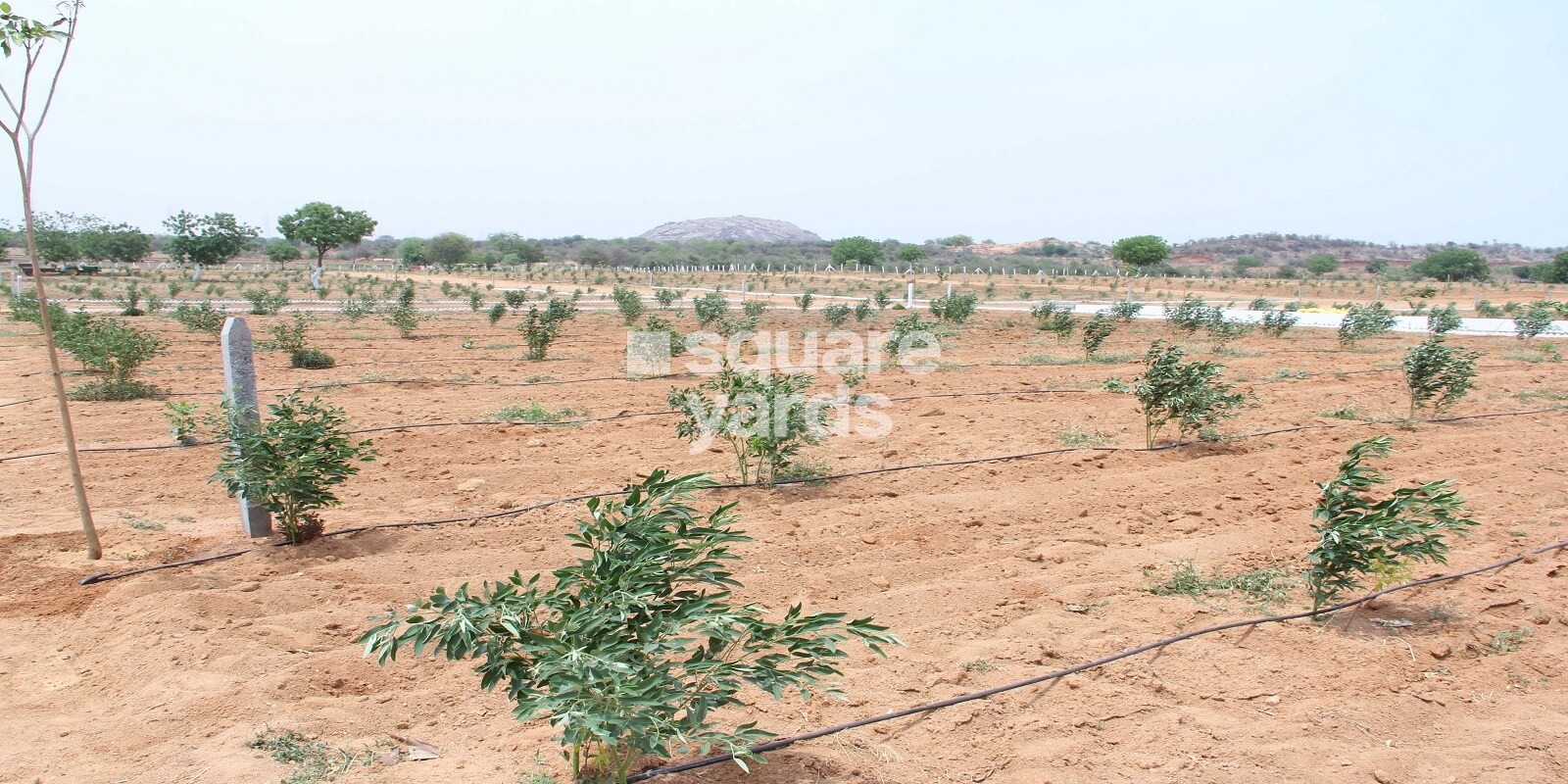 Swayam Agaru Vanam