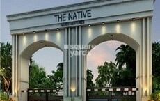 Haven The Native Featured Image