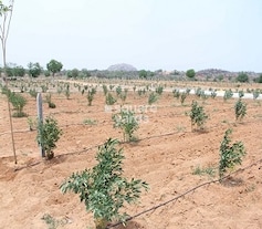 Swayam Agaru Vanam, Kolanpaka, Alair