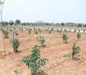 Swayam Agaru Vanam