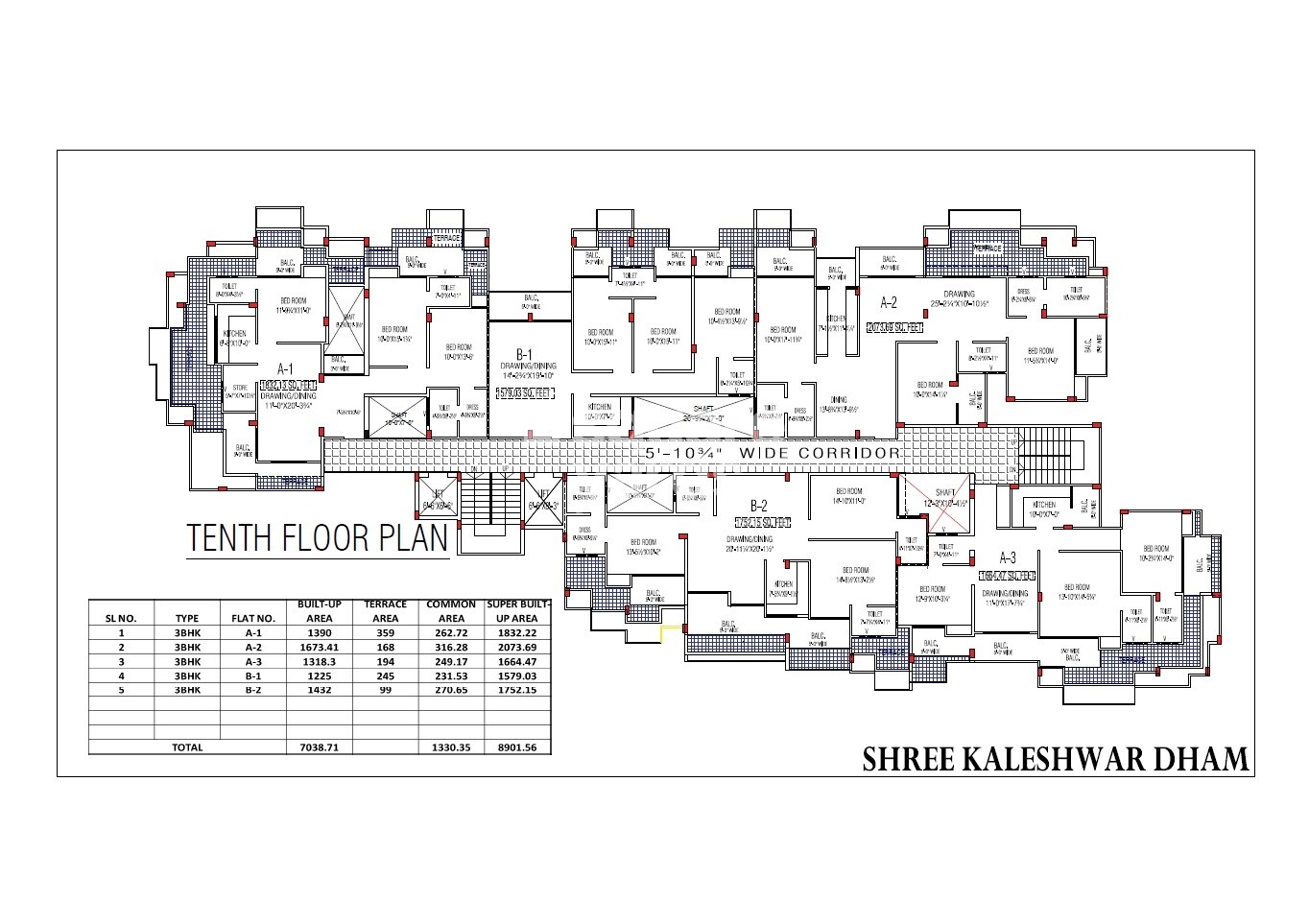 Saidham Shree Kaleshwar Dham