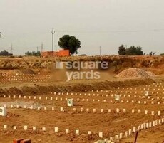 Garden Paradise Featured Image