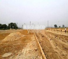 Shine Zaire Sparkle Valley Featured Image