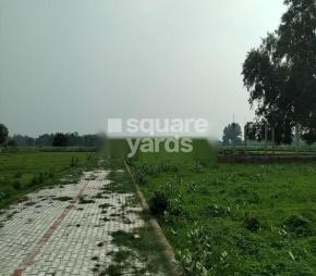 Usha Residential Plots in Pura Mufti, Allahabad