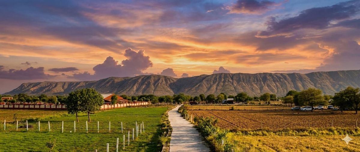 Definite Oasis Park Plot Images