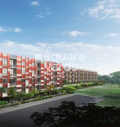 Icon Homz Iconest 4 Icon Homz Iconest 4