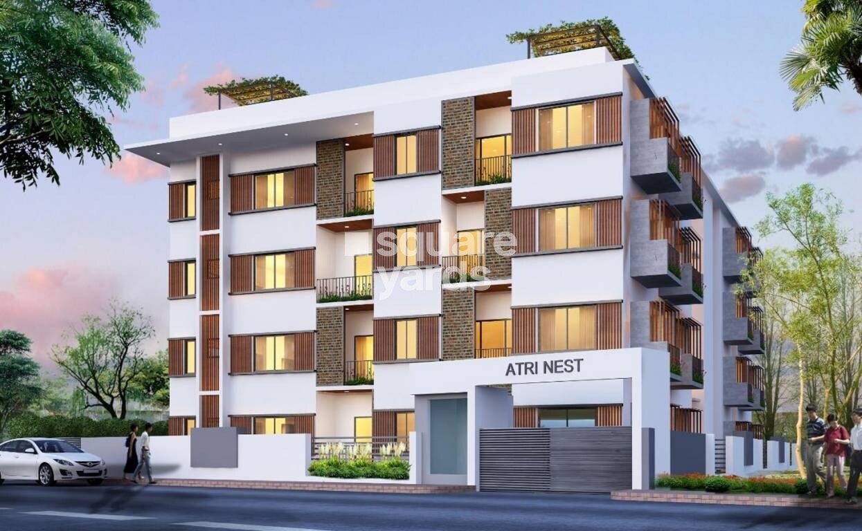 A3 Atri Nest