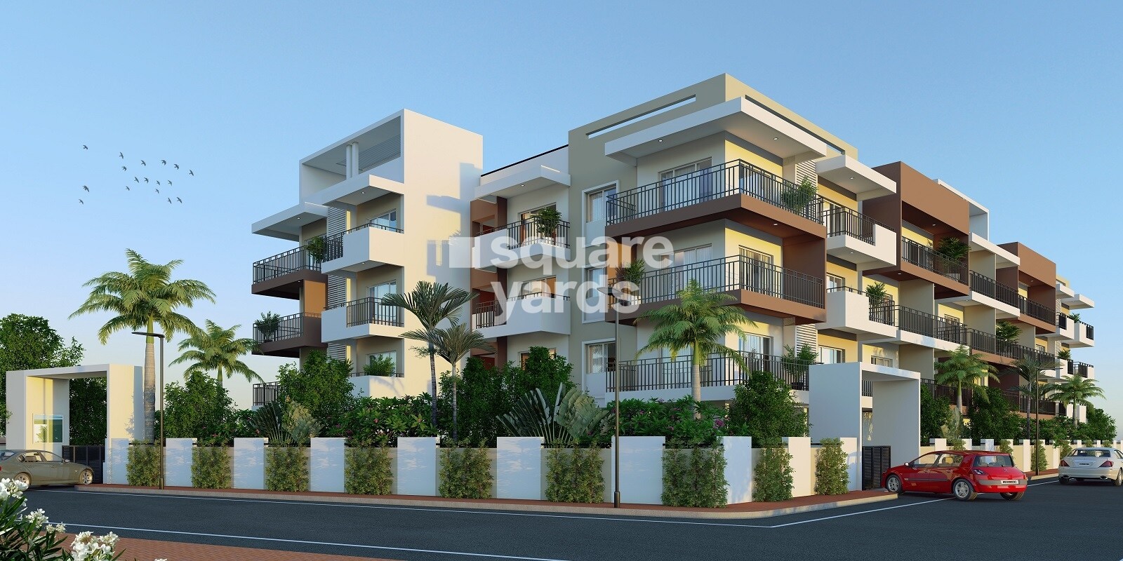 Abhi Starlight Featured Image