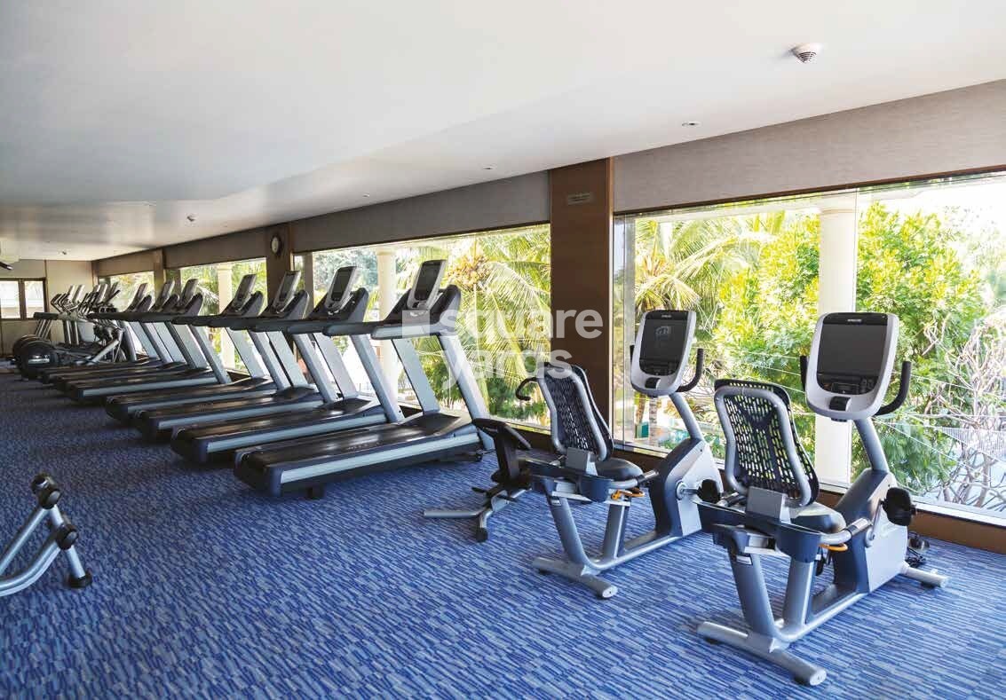 Adarsh Palm Meadows Gymnasium Image