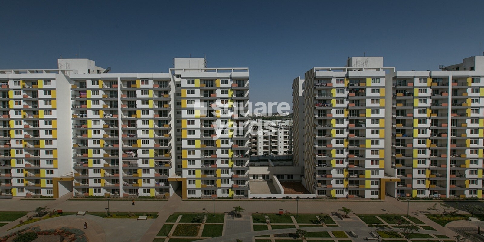 Adarsh Palm Retreat Daffodils Featured Image