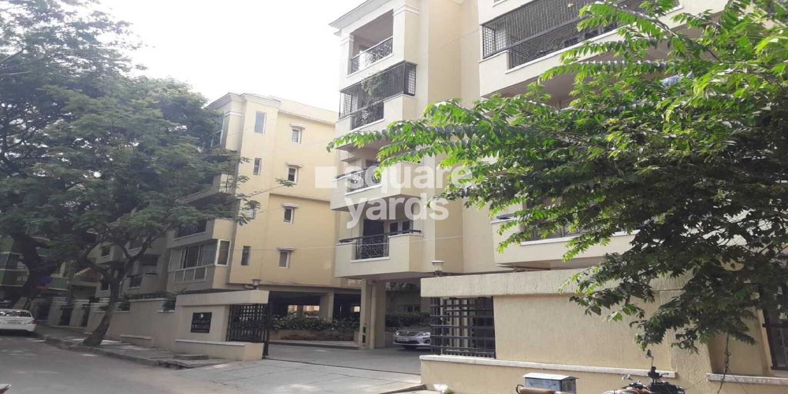 Adarsh Rose Featured Image