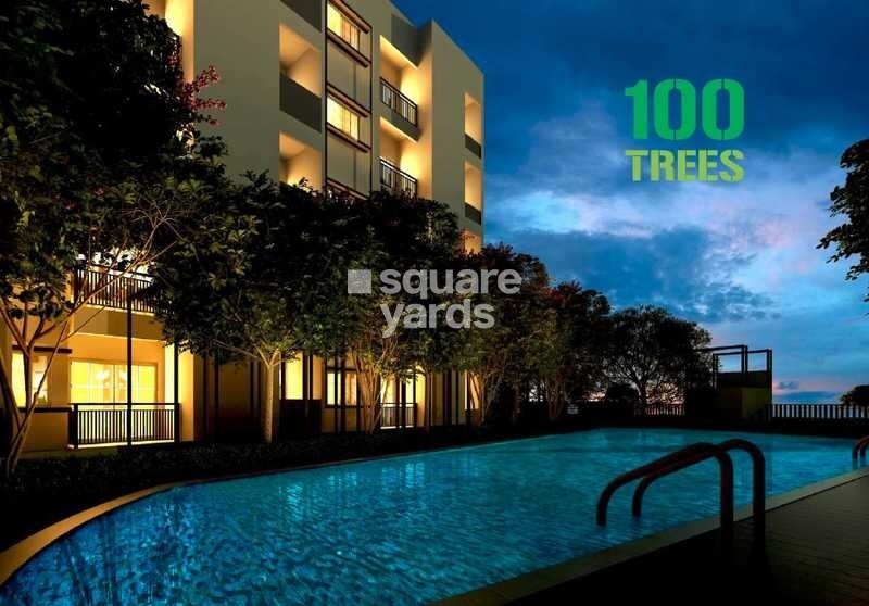 Adiga 100 Trees Tower View 2