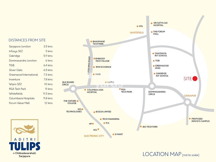 Aditri Tulips Location Image