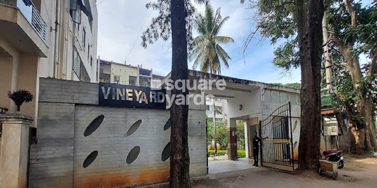 Aesthetic Vineyard Residency