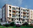 Affinity Gardenia