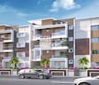 Affinity Meadows