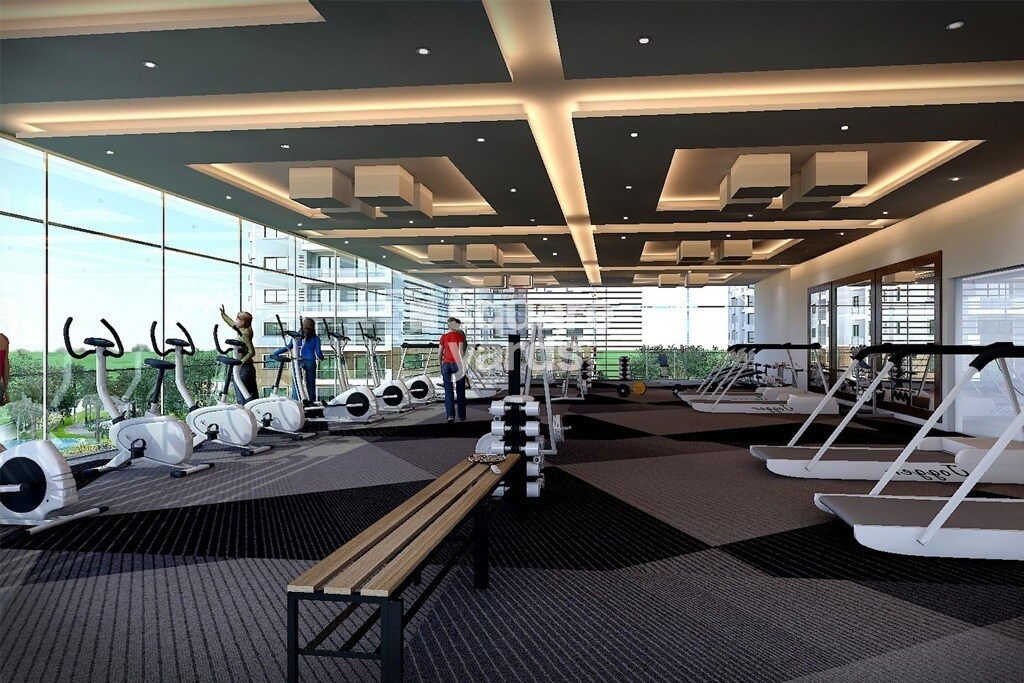 Ahad Euphoria Gymnasium Image