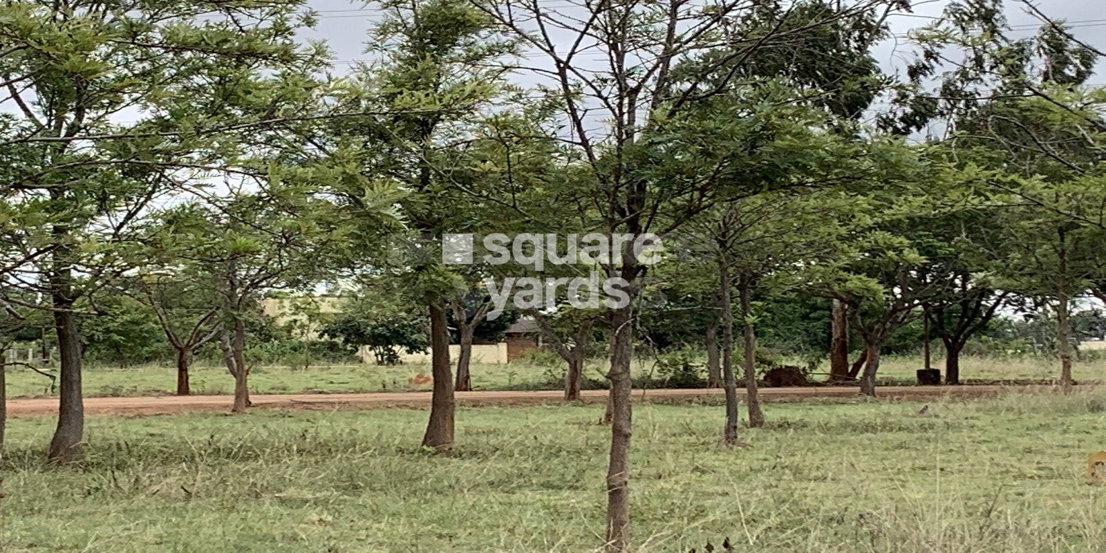 Airport Park NRI World