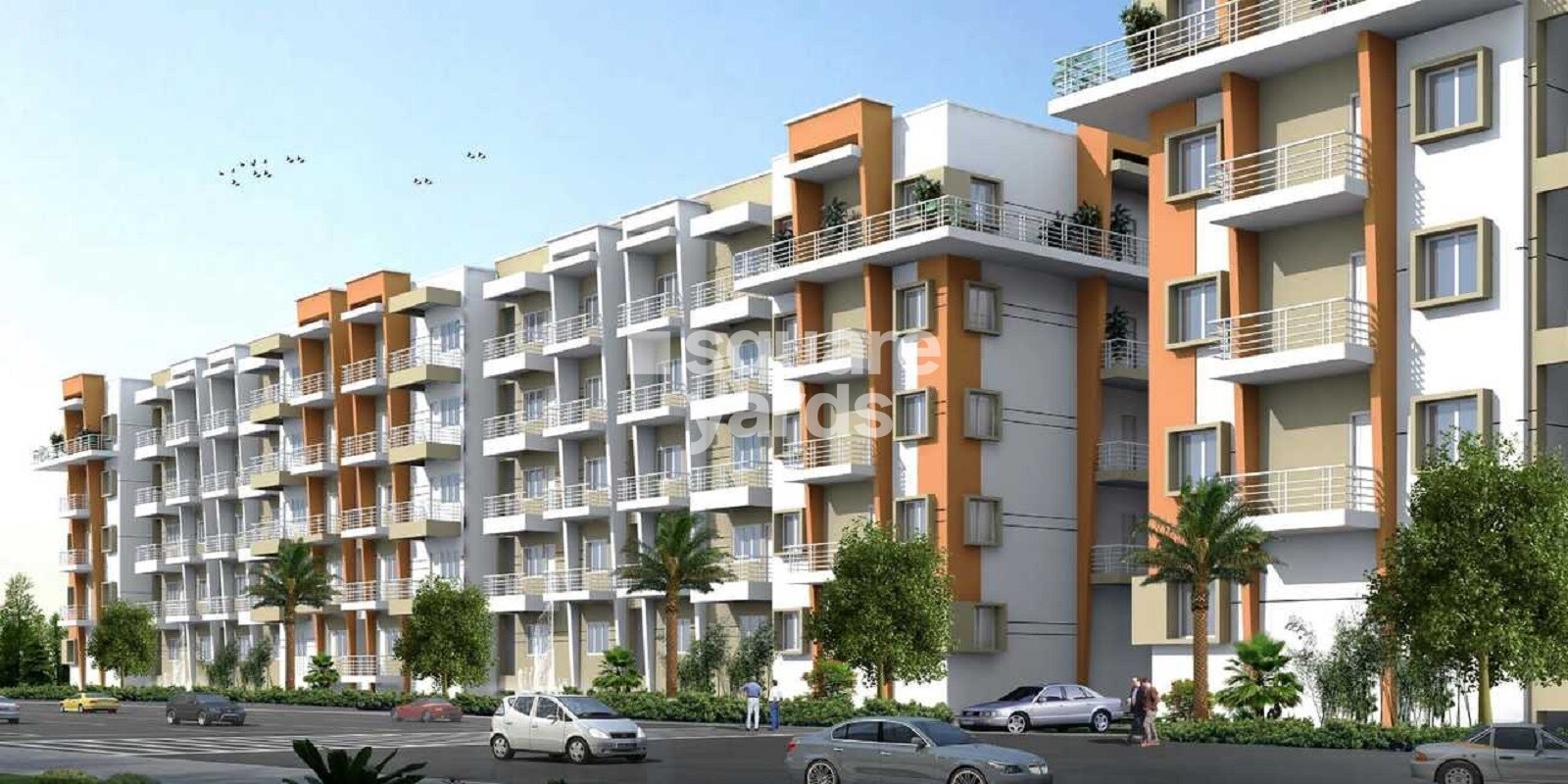 Akshaya United Crossandra