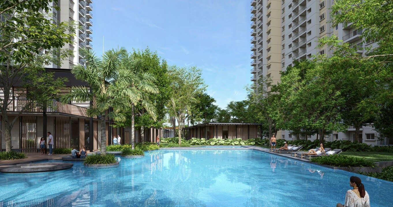 Alembic Cloud Forest