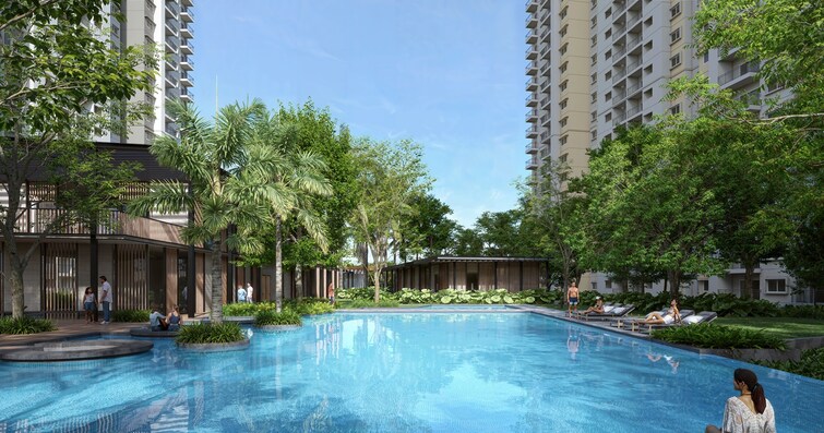 Alembic Cloud Forest Amenities-Features 3