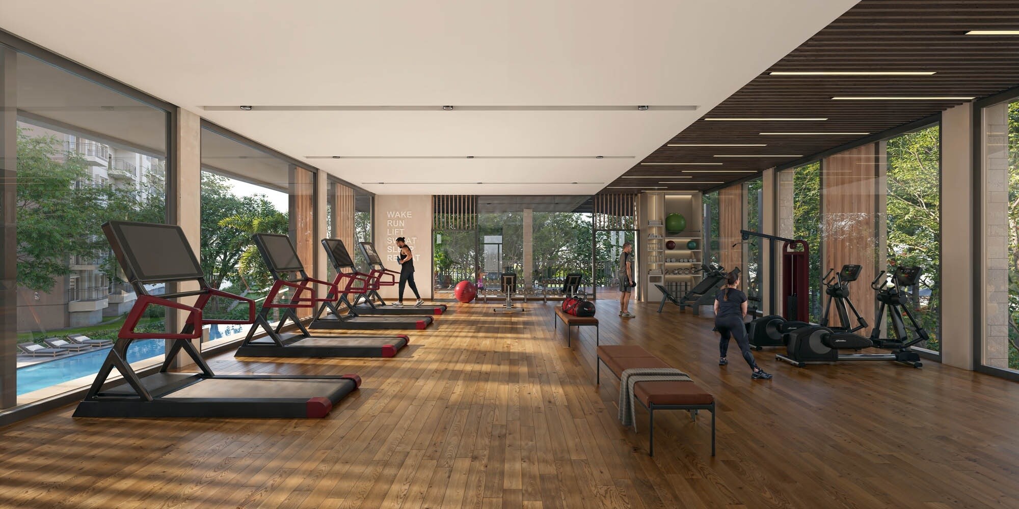 Alembic Cloud Forest Gymnasium Image